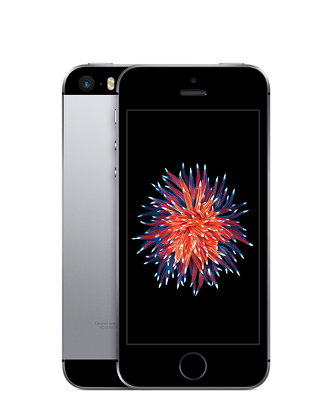 iPhone SE 64 Go Gris Sidéral (1 an de Garantie)